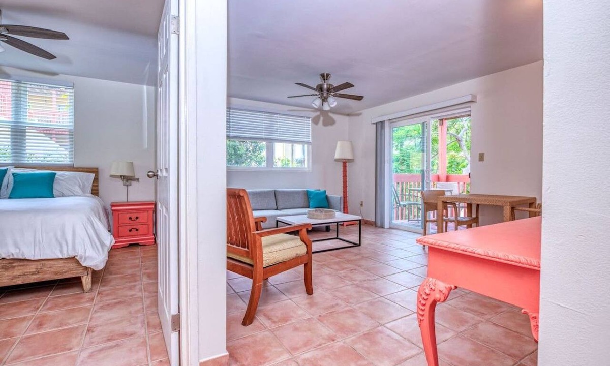 Contant Hill Apartment | Sea Horse 1-bedroom apt in Cruz Bay (A-5)