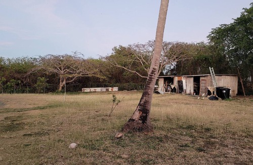 Estate Montpellier East House | Clothing-Optional Island Oasis: Cottage & Pool