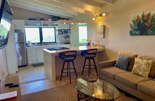 Estate Enighed Apartment | Ocean view 2 bedroom minutes to Cruz Bay
