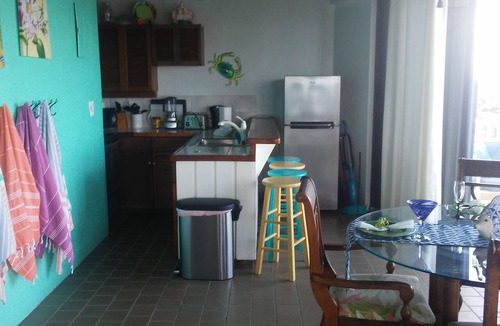 Frydendal Villa | Pt Pleasnt Ocean Views! Walk To Beaches/Beach Bars/Restaurants-Generator Backup!