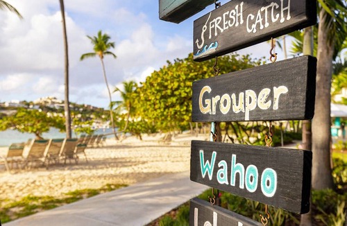 Estate Frydenhoj Apartment | Studio Double @ WorldMark Elysian Beach Resort