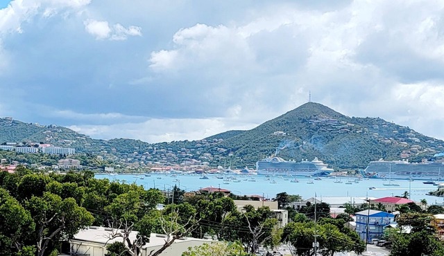 2-BR apt in beautiful St Thomas filled with local flava in Charlotte Amalie