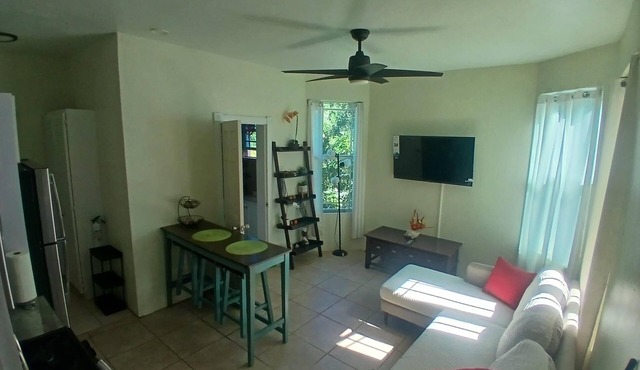 Adorable 1-bedroom apart W/ FREE SUV in charming St Thomas in St Thomas