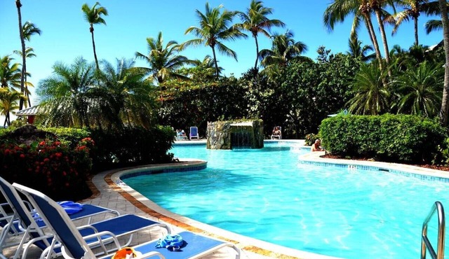 BEST REVIEWS on the East End - HANDS DOWN! in St. Thomas