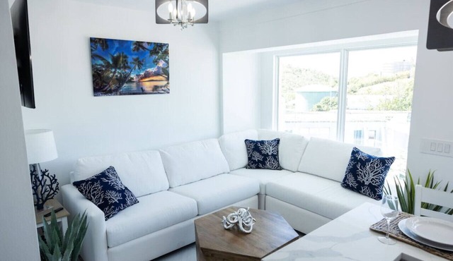 Dolphin Suites Unit 8 in Cruz Bay