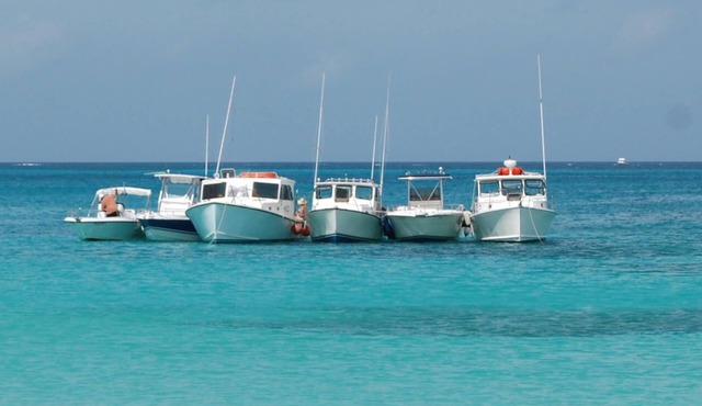 Flamboyant Escape in Christiansted