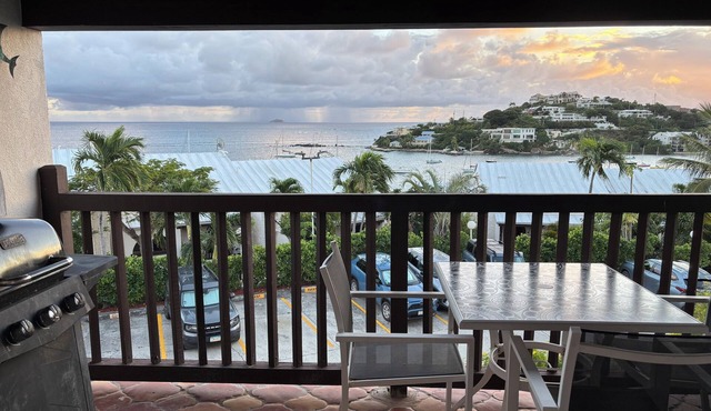 Gorgeous 4-bdr Cowpet Bay Waterfront condo, steps from Beach in St Thomas