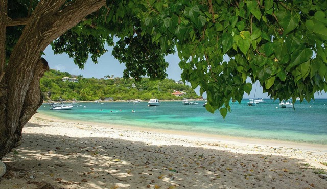 Nautilus- Beach Front with 3 King Suites in Cruz Bay