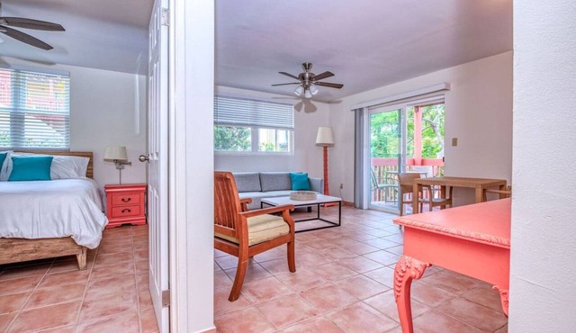 Sea Horse 1-bedroom apt in Cruz Bay (A-5) in Cruz Bay