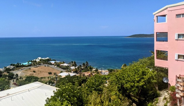 Sea La Vie in St Croix