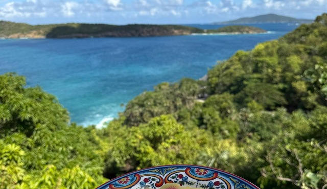 Secluded Ocean View Love Suite in ST Thomas