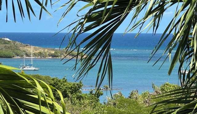 St Croix Luxury 4 Bedroom Villa Private Pool and Ocean View. Judith's Fancy in Christiansted