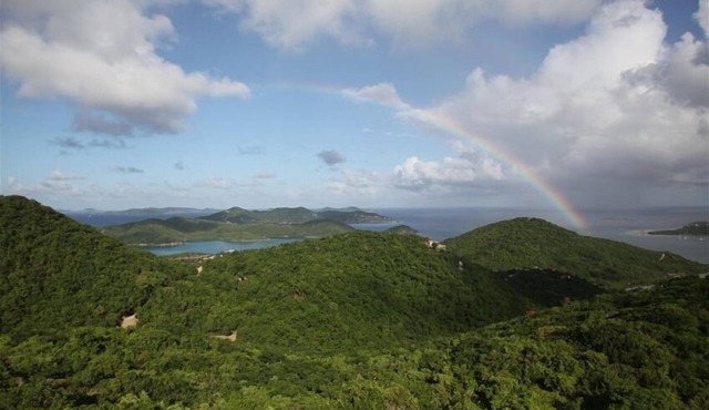 STJ Studio with Pool, Hot Tub & Stargazing/Bird watching Deck& Backup Generator in Coral Bay