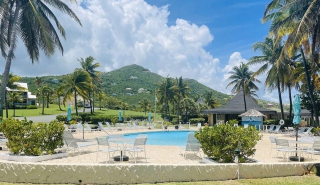 Welcome to Turtle's Nest of Gentle Winds Condominiums! 2 bedrooms, 2 baths! Pool and beach access! in Christiansted