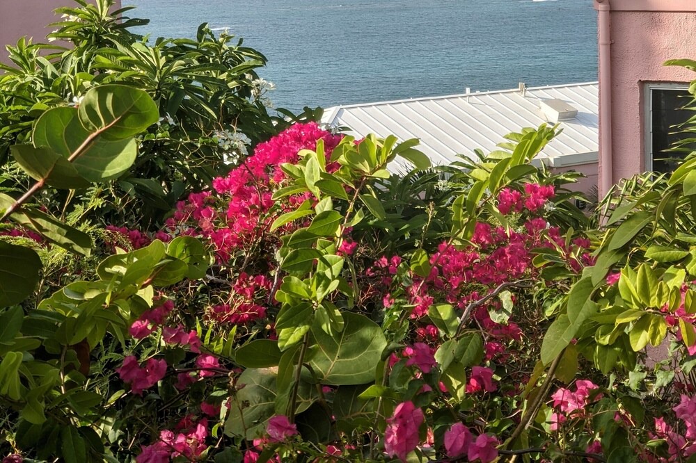 Photo of Outdoor in Estate Coakley Bay