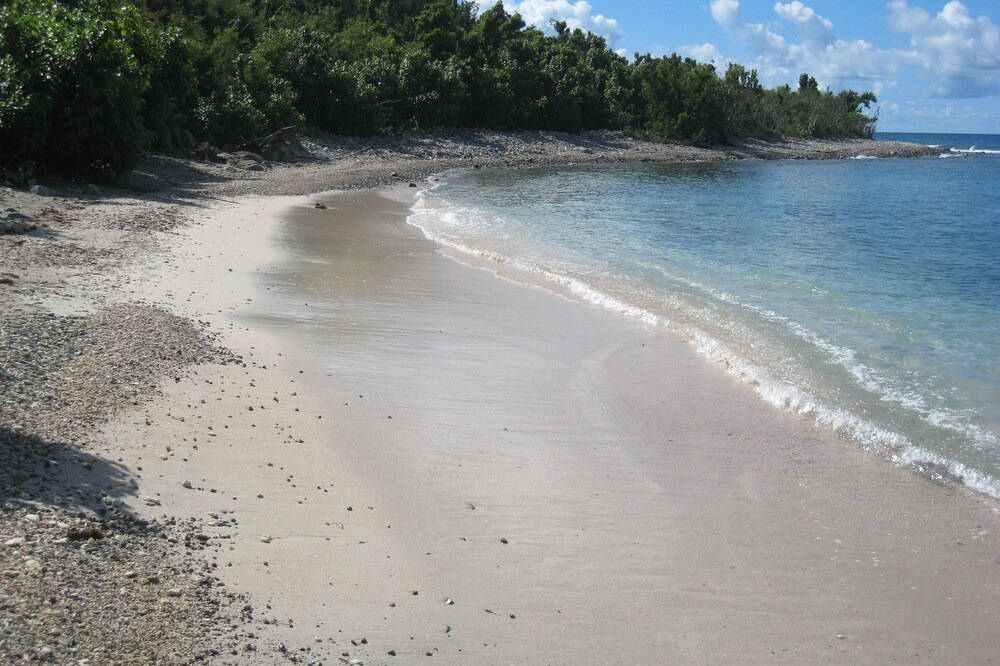 Photo of Others in Ditleff Point
