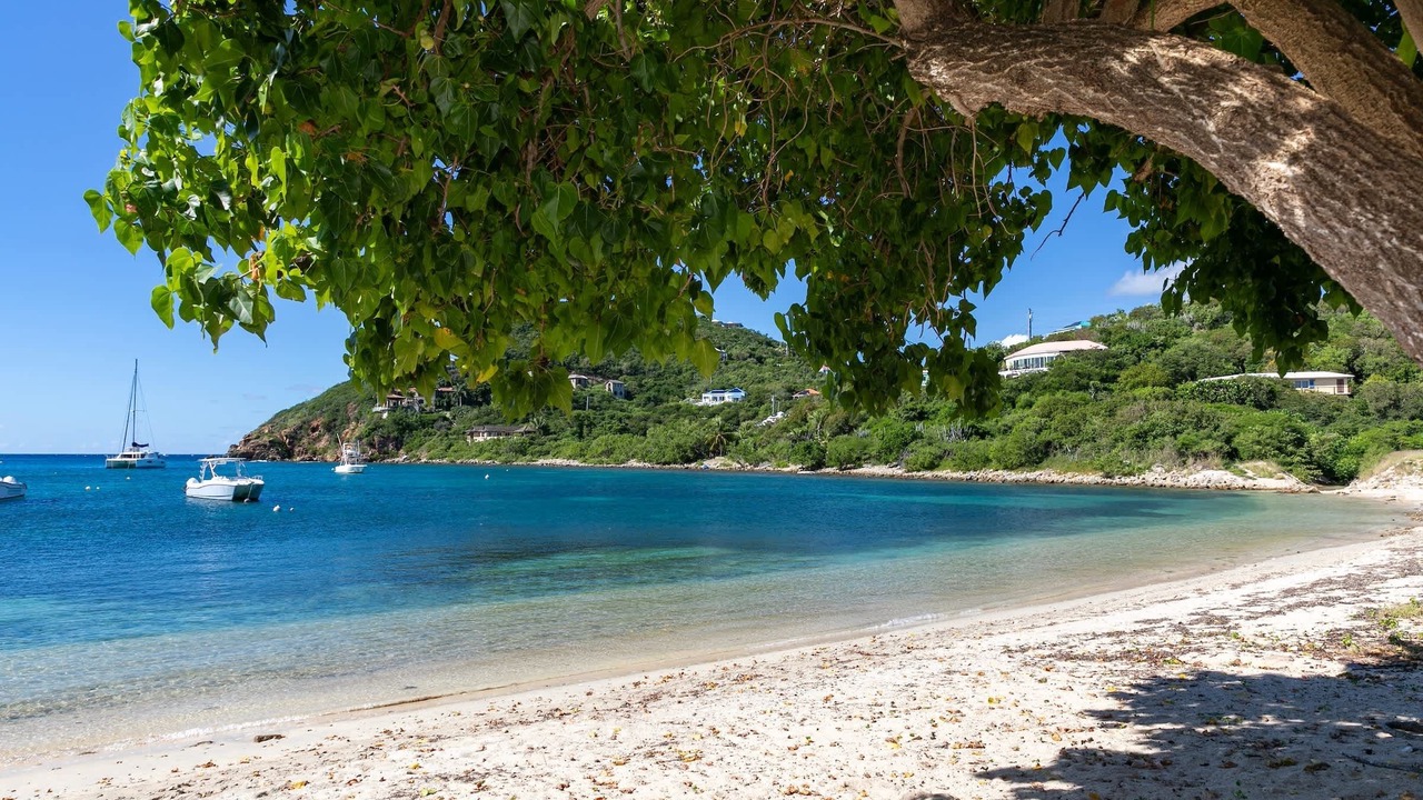 Photo of Others in Estate Chocolate Hole and Great Cruz Bay