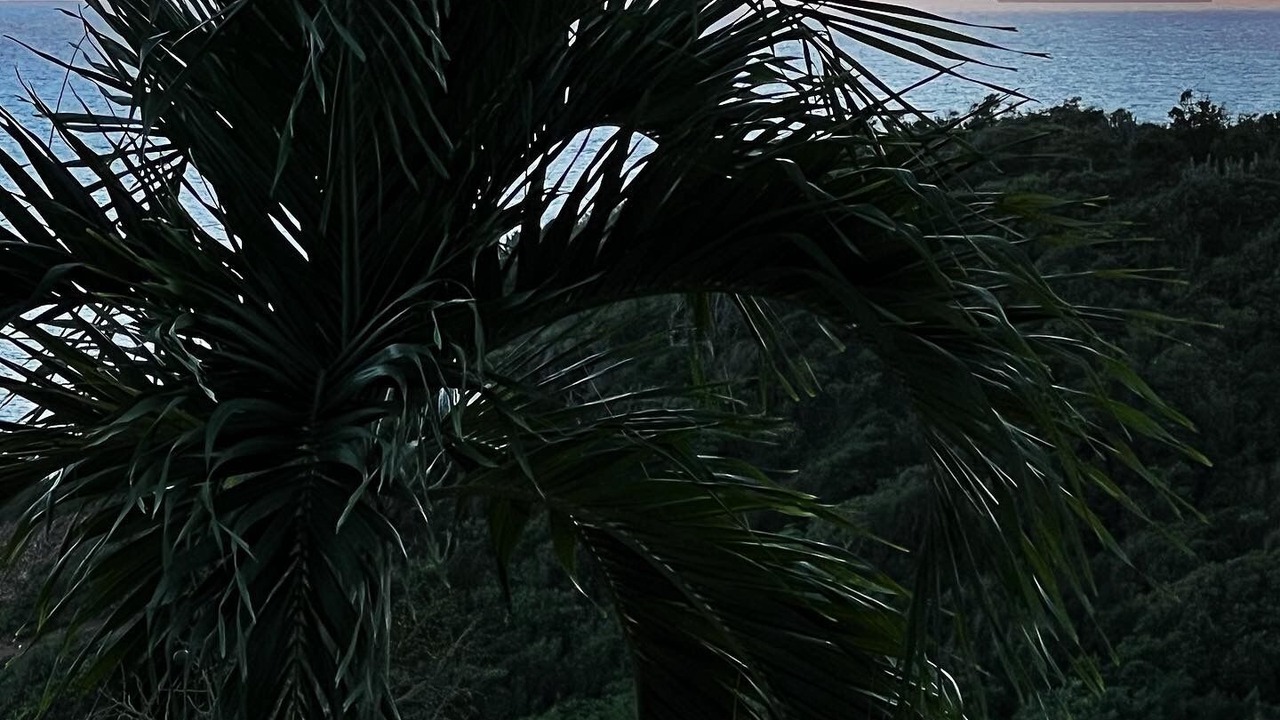 Photo of Outdoor in Estate Bolongo
