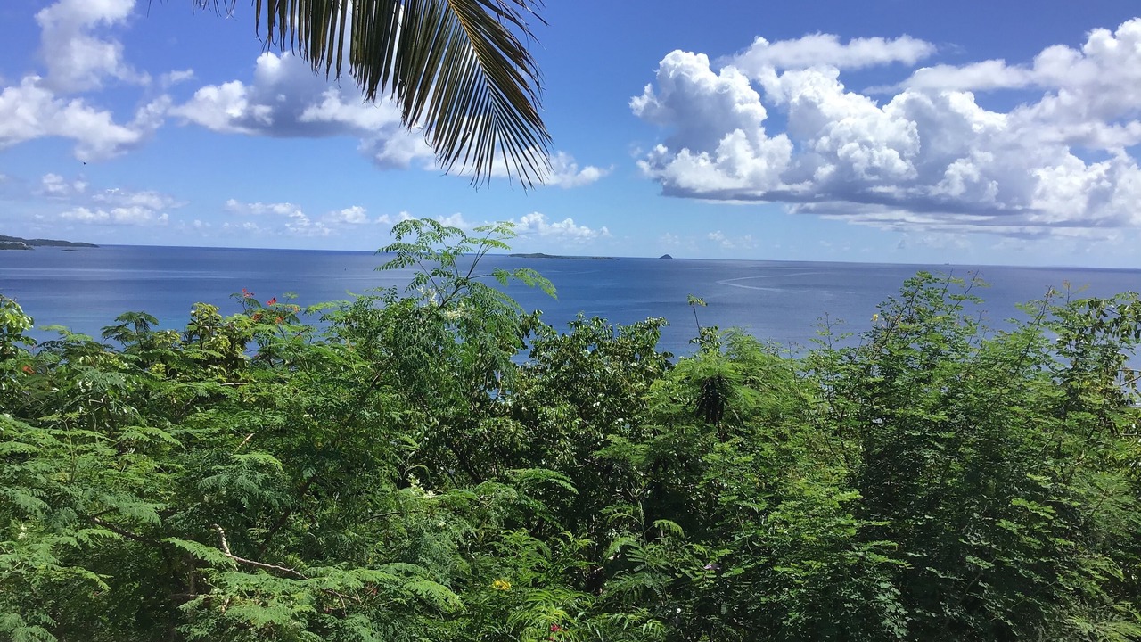 Photo of Others in St. Thomas