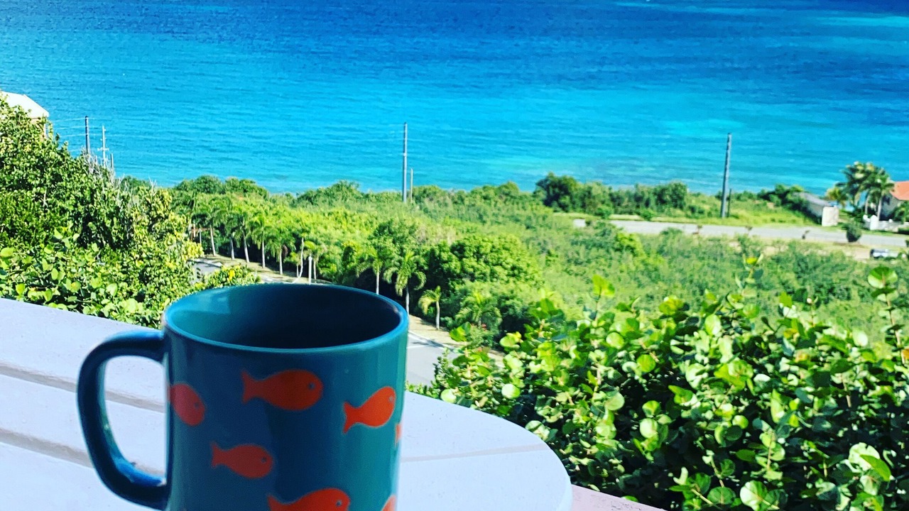 Photo of Outdoor in Estate Coakley Bay