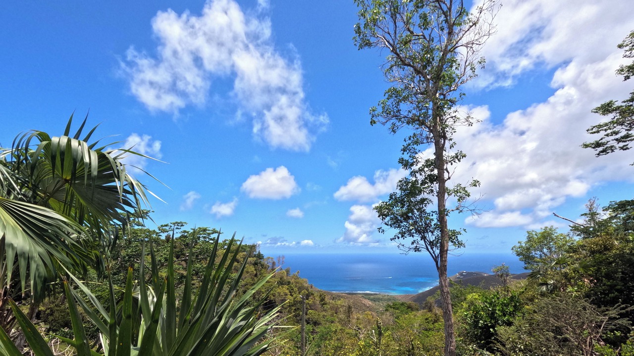 Photo of Others in St. John