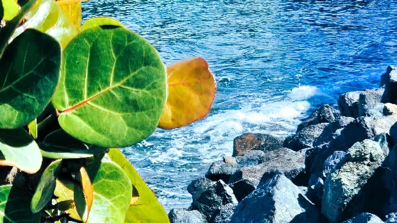 Photo of Outdoor in Estate Charlotte Amalie