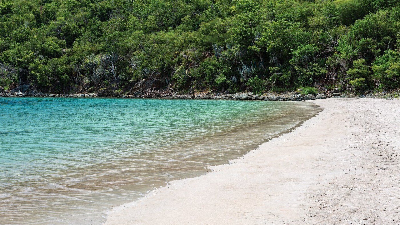 Photo of Others in Estate Chocolate Hole and Great Cruz Bay