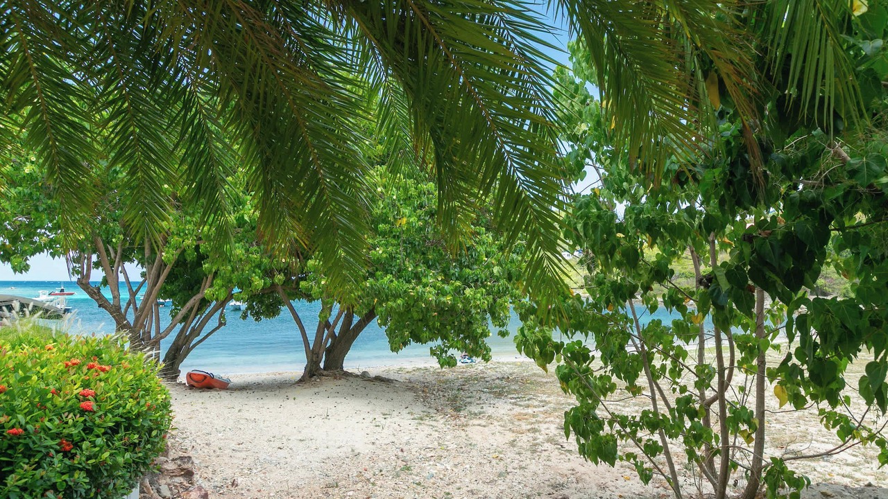 Photo of Others in Estate Chocolate Hole and Great Cruz Bay