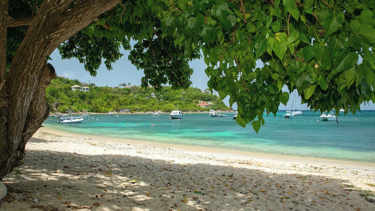 Photo of Others in Estate Chocolate Hole and Great Cruz Bay