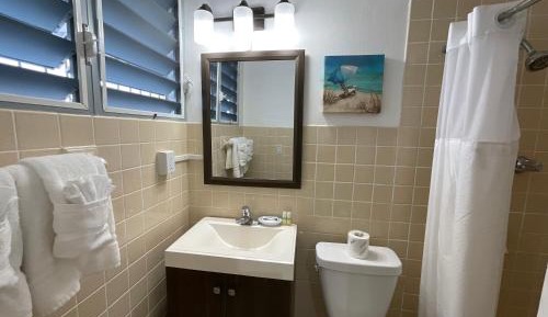 Double Room (1 Adult + 1 Child)