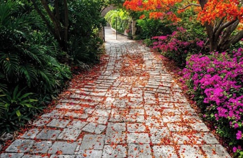 Red Hook Apartment | Lion's Gate Getaway- Lush Setting. Check for seasonal discounts