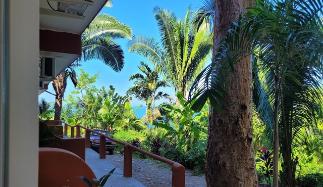 Tiny Condo PB3- 1 bedroom, incredible views & huge pool at Vista Encantada!! in Bouvet Island